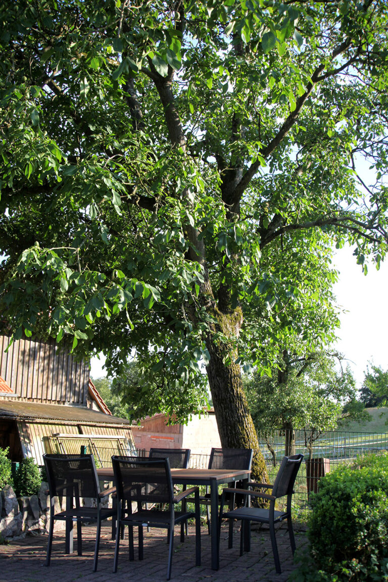 Garten_01